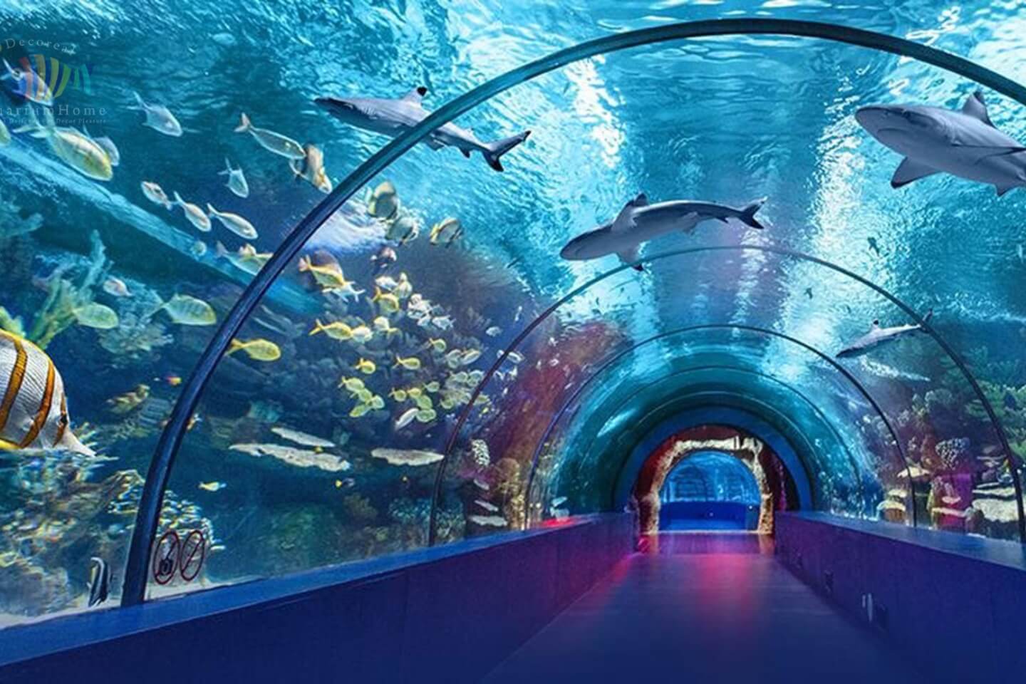 Lokaranjan Aqua World